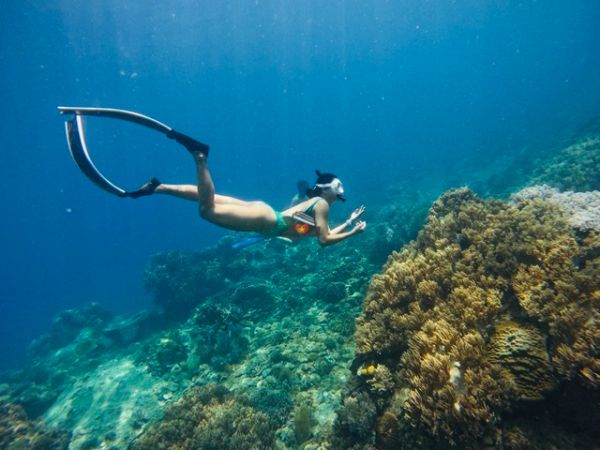 free diving Nha Trang