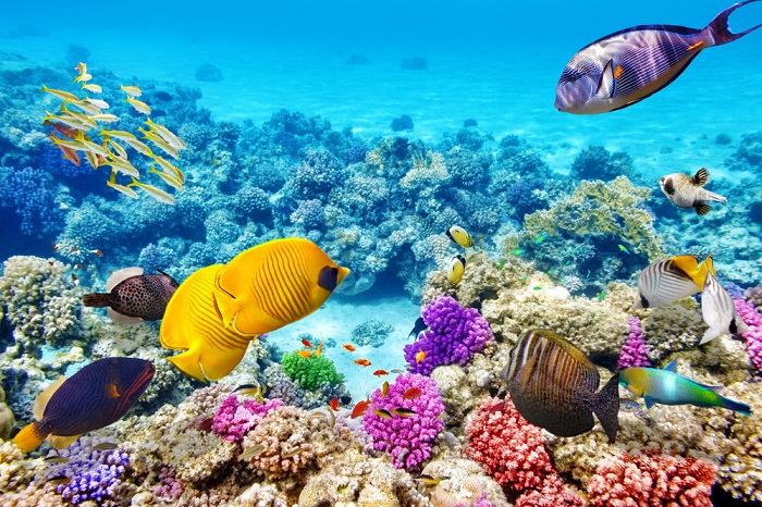 Hon Mun island Nha Trang