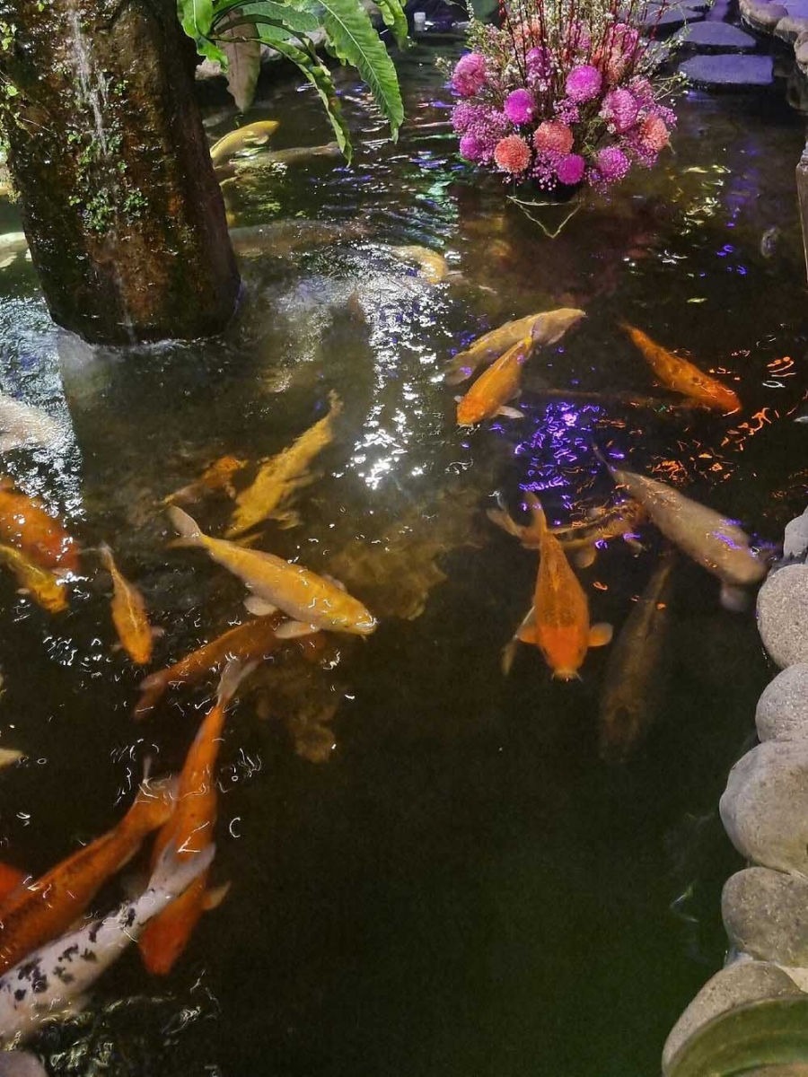 Oasis Cafe Ho Chi Minh