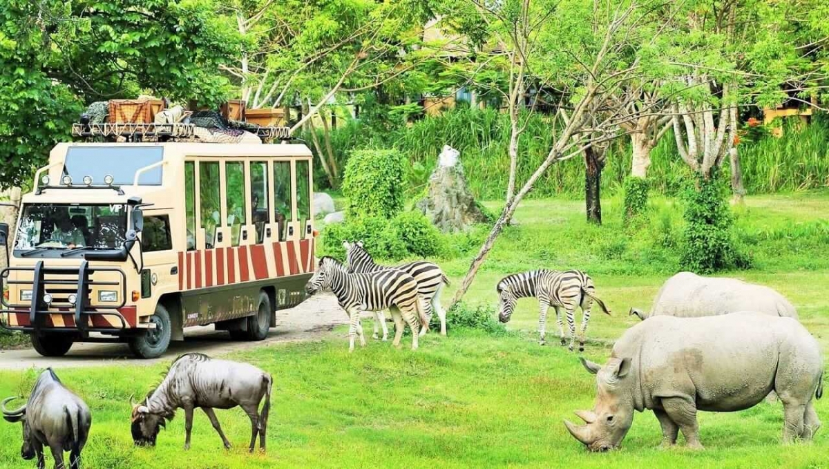 FLC Safari Zoo Quy Nhon
