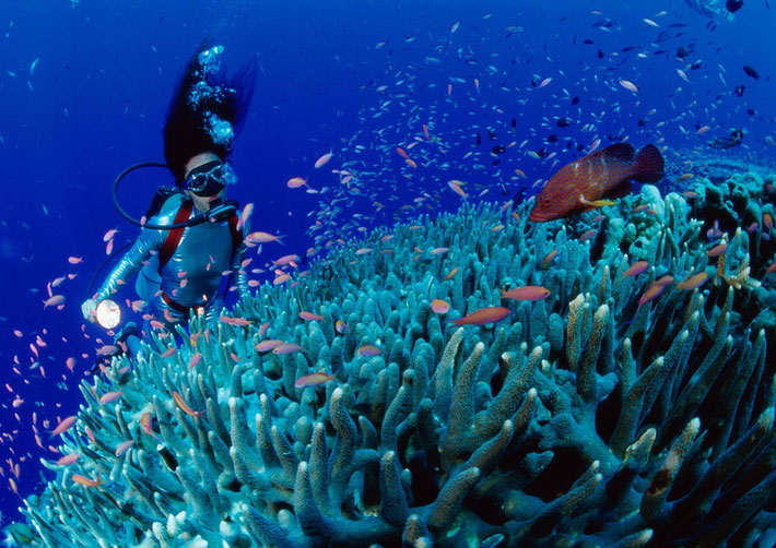 Snorkeling Nha Trang