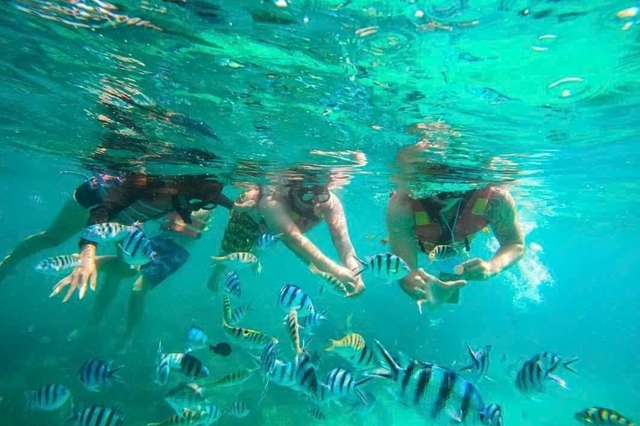 snorkeling in Hon Mun